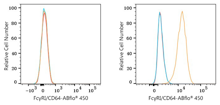 ABflo® 450 Rabbit anti-Mouse FcγRI/CD64 mAb