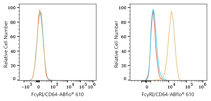 ABflo® 610 Rabbit anti-Mouse FcγRI/CD64 mAb