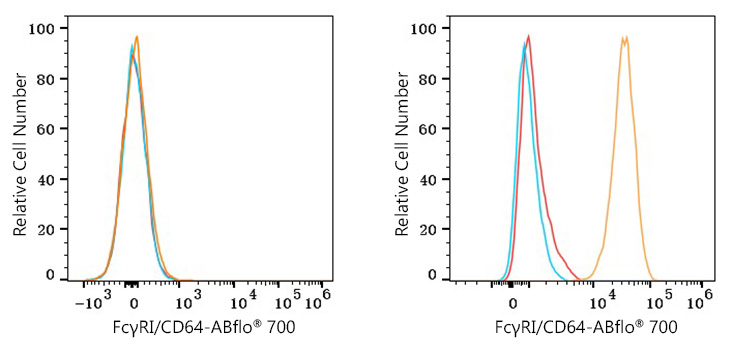 ABflo® 700 Rabbit anti-Mouse FcγRI/CD64 mAb