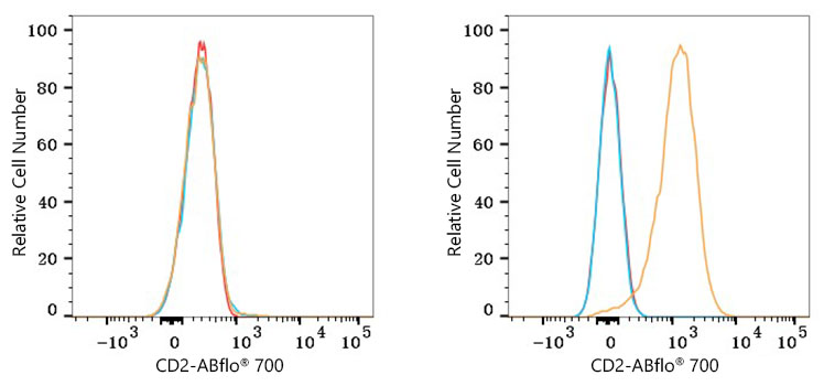 ABflo® 700 Rabbit anti-Mouse CD2 mAb