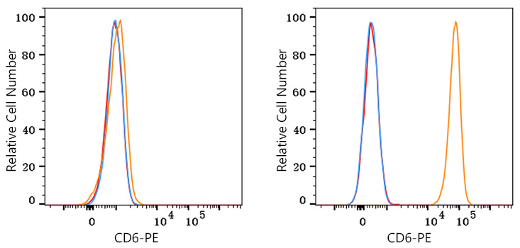 PE Rabbit anti-Human CD6 mAb