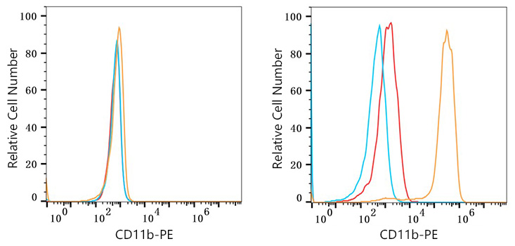 PE Rabbit anti-Mouse CD11b mAb