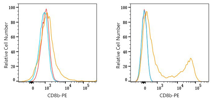 PE Rabbit anti-Human CD8b mAb