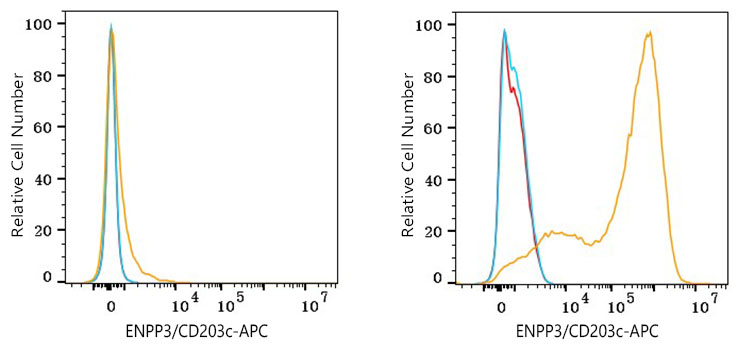 APC Rabbit anti-Human ENPP3/CD203c mAb