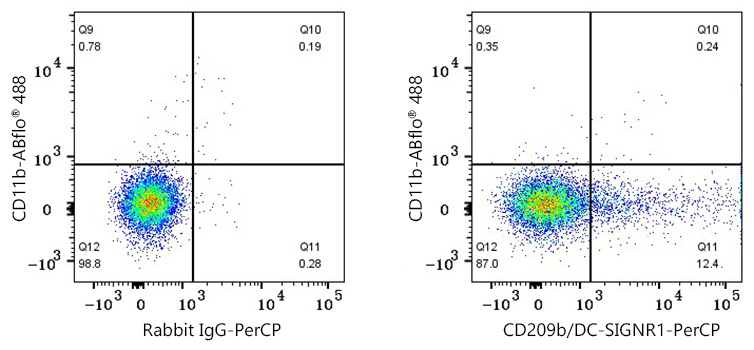 PerCP Rabbit anti-Mouse CD209b/DC-SIGNR1 mAb