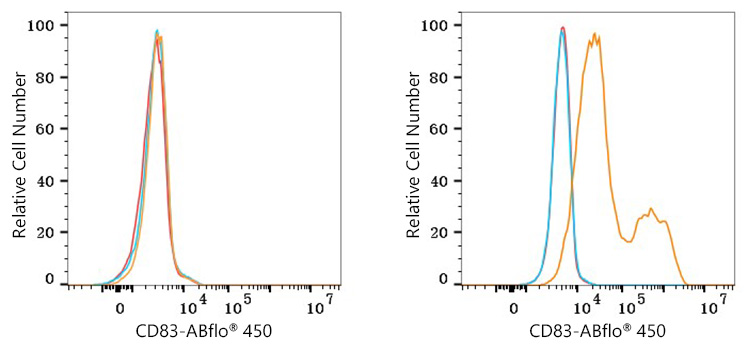 ABflo® 450 Rabbit anti-Mouse CD83 mAb