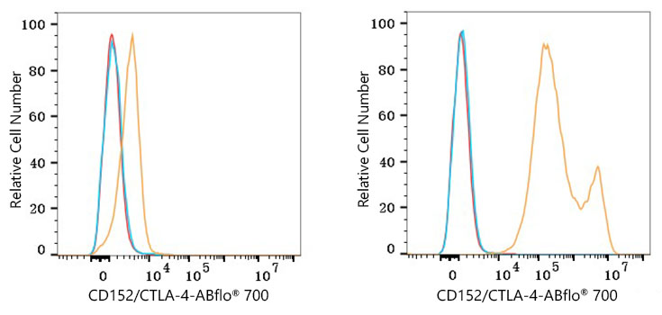 ABflo® 700 Rabbit anti-Human CD152/CTLA-4 mAb