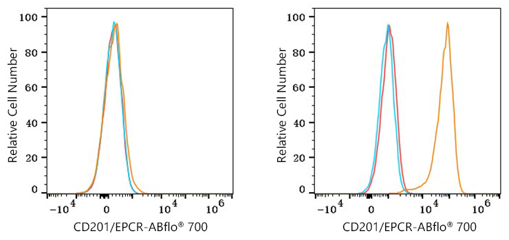 ABflo® 700 Rabbit anti-Human CD201/EPCR mAb