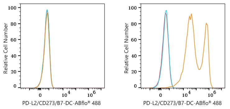 ABflo® 488 Rabbit anti-Mouse PD-L2/CD273/B7-DC mAb