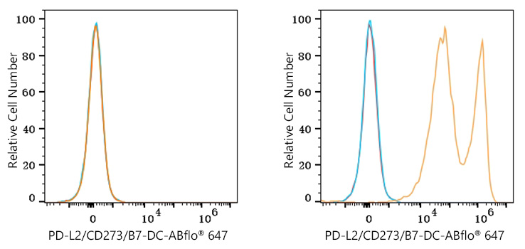 ABflo® 647 Rabbit anti-Mouse PD-L2/CD273/B7-DC mAb