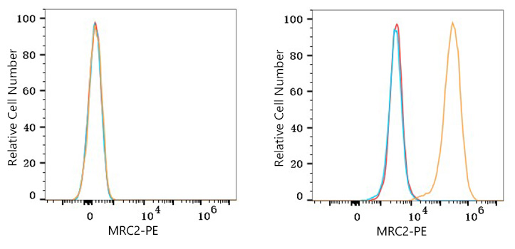 PE Rabbit anti-Human MRC2 mAb