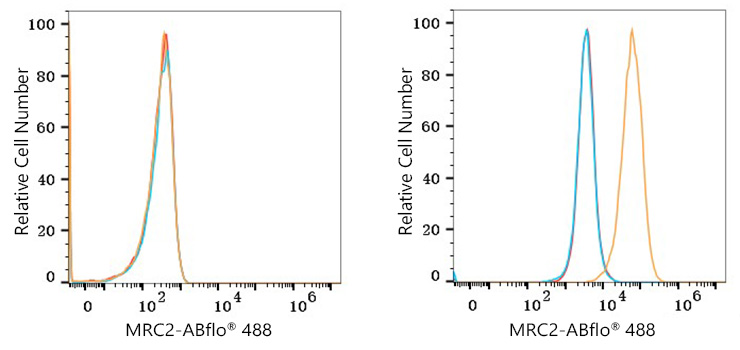 ABflo® 488 Rabbit anti-Human MRC2 mAb