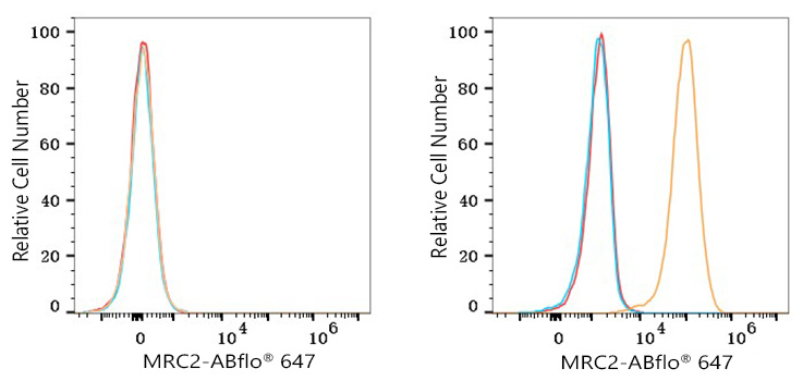 ABflo® 647 Rabbit anti-Human MRC2 mAb