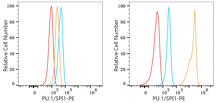 PE Rabbit anti-Human PU.1/SPI1 mAb