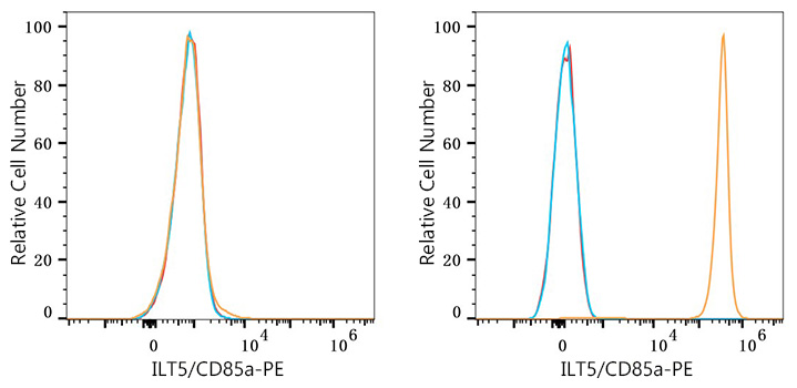 PE Rabbit anti-Human ILT5/CD85a mAb