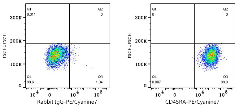 PE/Cyanine7 Rabbit anti-Human CD45RA mAb