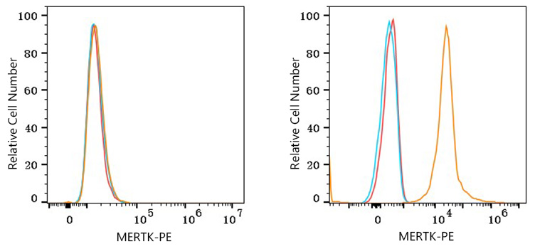 PE Rabbit anti-Human MERTK mAb