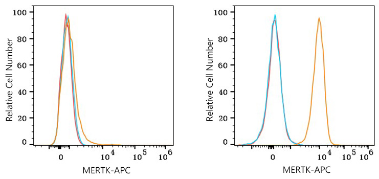 APC Rabbit anti-Human MERTK mAb