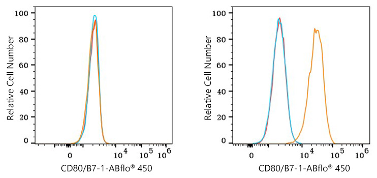 ABflo® 450 Rabbit anti-Human CD80/B7-1 mAb