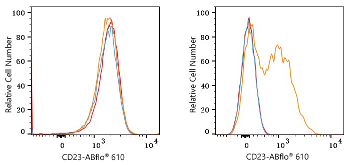 ABflo® 610 Rabbit anti-Mouse CD23 mAb