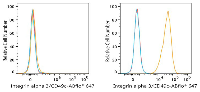 ABflo® 647 Rabbit anti-Human Integrin alpha 3/CD49c mAb