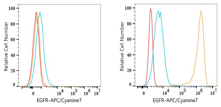 APC/Cyanine7 Rabbit anti-Human EGFR mAb