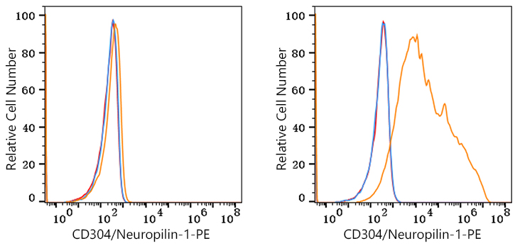 PE Rabbit anti-Mouse CD304/Neuropilin-1 mAb