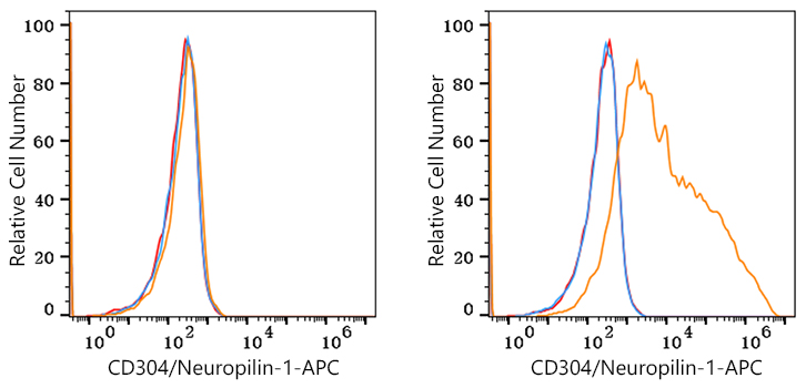 APC Rabbit anti-Mouse CD304/Neuropilin-1 mAb