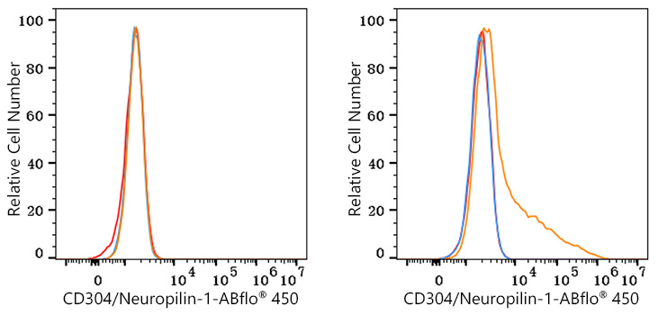 ABflo® 450 Rabbit anti-Mouse CD304/Neuropilin-1 mAb