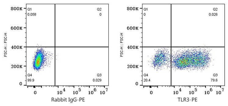 PE Rabbit anti-Human TLR3 mAb