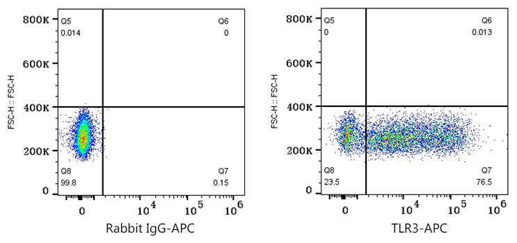 APC Rabbit anti-Human TLR3 mAb