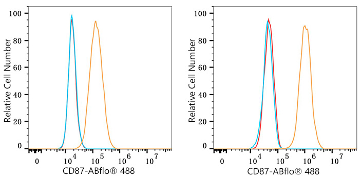 ABflo® 488 Rabbit anti-Mouse CD87 mAb