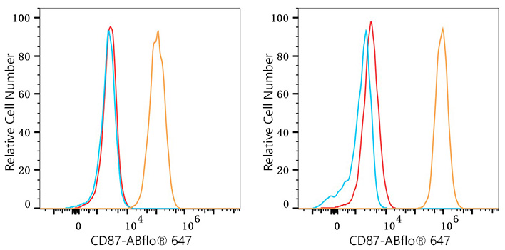 ABflo® 647 Rabbit anti-Mouse CD87 mAb