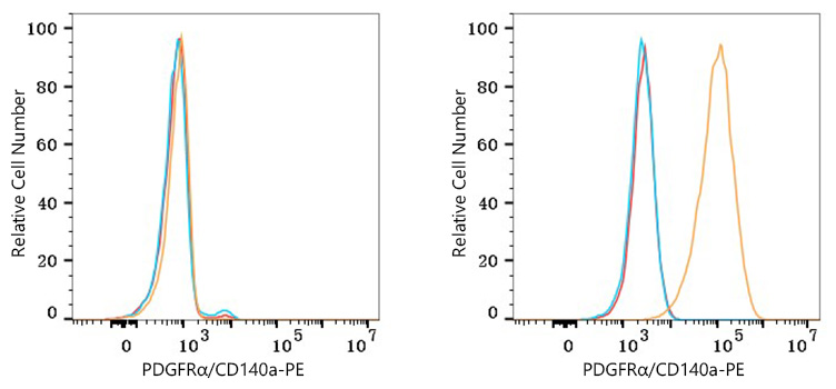 PE Rabbit anti-Human/Mouse PDGFRα/CD140a mAb