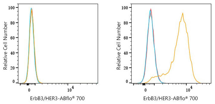 ABflo® 700 Rabbit anti-Human ErbB3/HER3 mAb