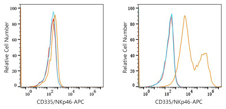 APC Rabbit anti-Human CD335/NKp46 mAb