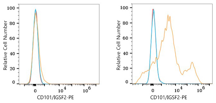 PE Rabbit anti-Human CD101/IGSF2 mAb