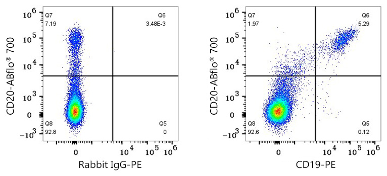 PE Rabbit anti-Human/Monkey CD19 mAb