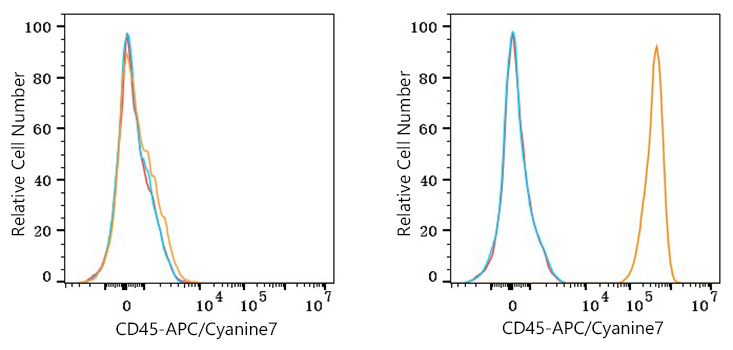 APC/Cyanine7 Rabbit anti-Human CD45 mAb