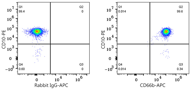 APC Rabbit anti-Human CD66b mAb