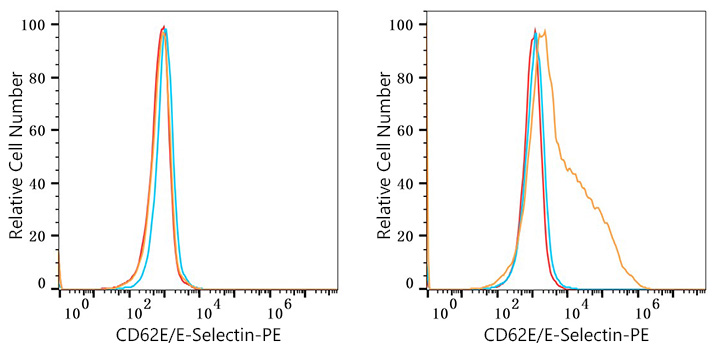 PE Rabbit anti-Human CD62E/E-Selectin mAb