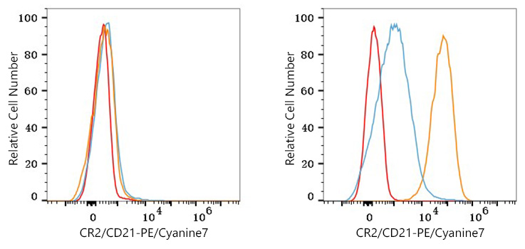 PE/Cyanine7 Rabbit anti-Human CR2/CD21 mAb