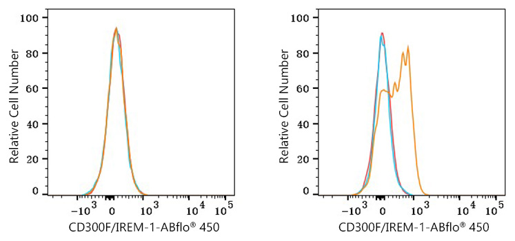 ABflo® 450 Rabbit anti-Human CD300F/IREM-1 mAb