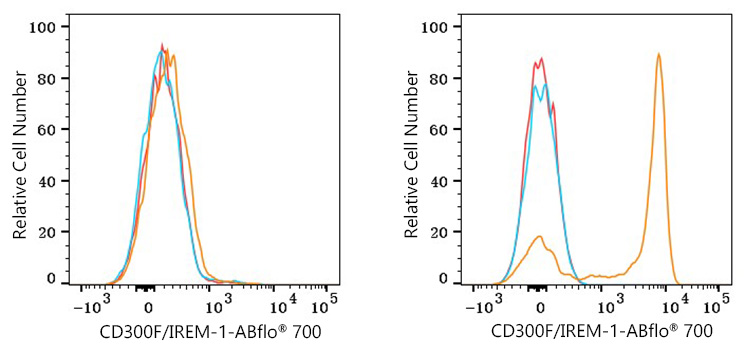 ABflo® 700 Rabbit anti-Human CD300F/IREM-1 mAb