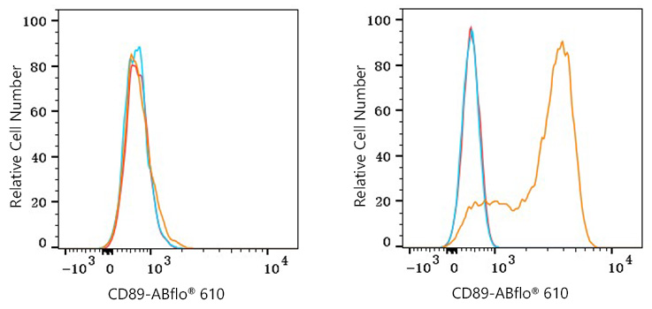 ABflo® 610 Rabbit anti-Human CD89 mAb