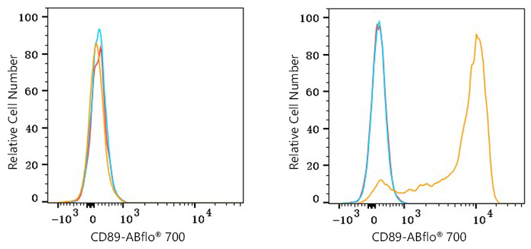 ABflo® 700 Rabbit anti-Human CD89 mAb