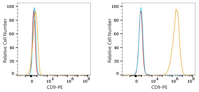 PE Rabbit anti-Human CD9 mAb