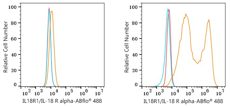 ABflo® 488 Rabbit anti-Human IL18R1/IL-18 R alpha mAb