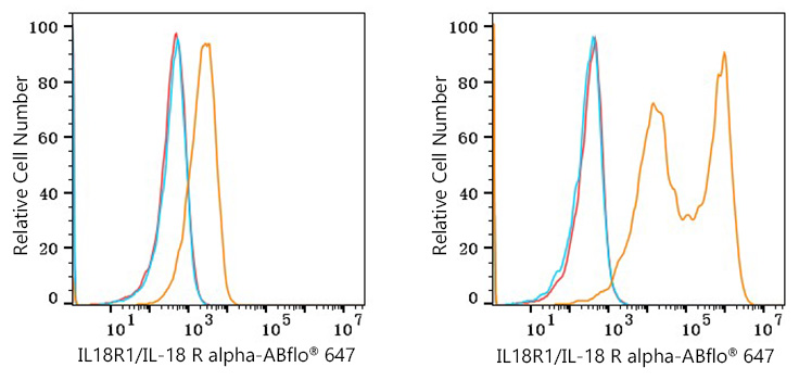 ABflo® 647 Rabbit anti-Human IL18R1/IL-18 R alpha mAb