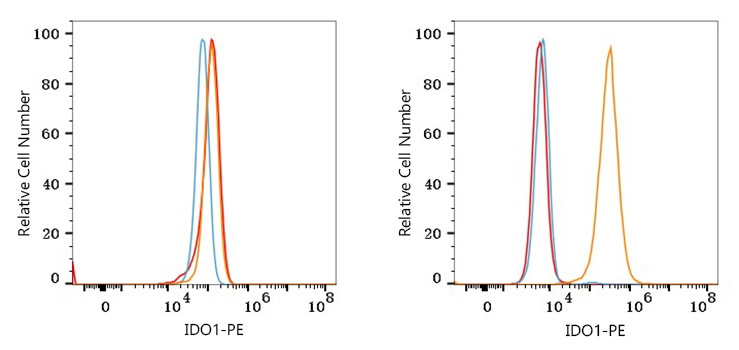 PE Rabbit anti-Human IDO1 mAb